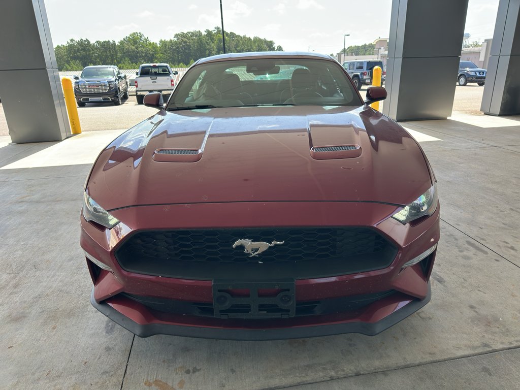 Used 2019 Ruby Red Metallic Tinted Clearcoat Ford EcoBoost image 2