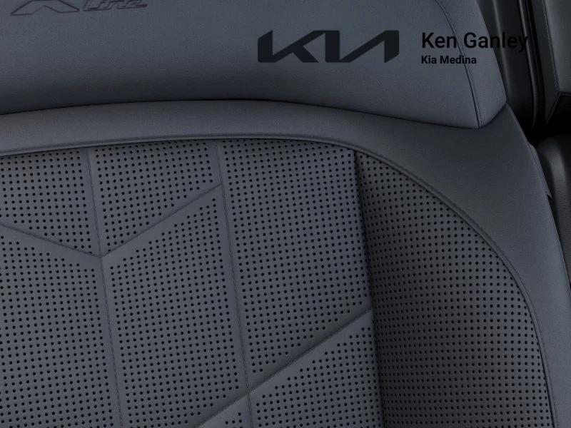 New 2027 Panthera Metal Matte Kia X-Line SX image 24