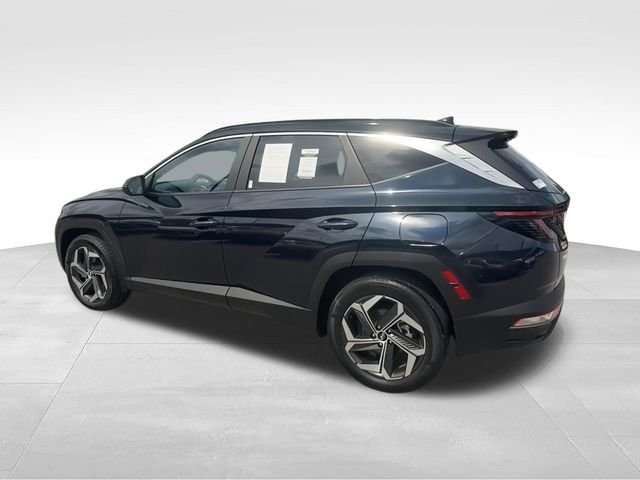 Used 2024 Blue Hyundai SEL Convenience image 6