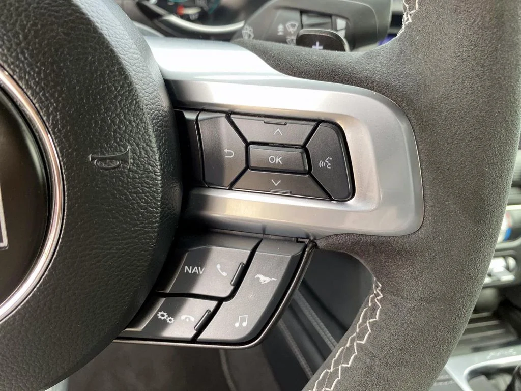 Used 2023 Gray Ford Mach 1 image 18