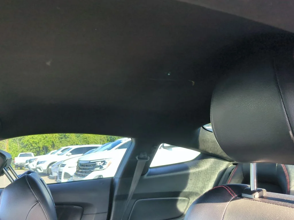 Used 2019 Black Ford GT Premium image 10