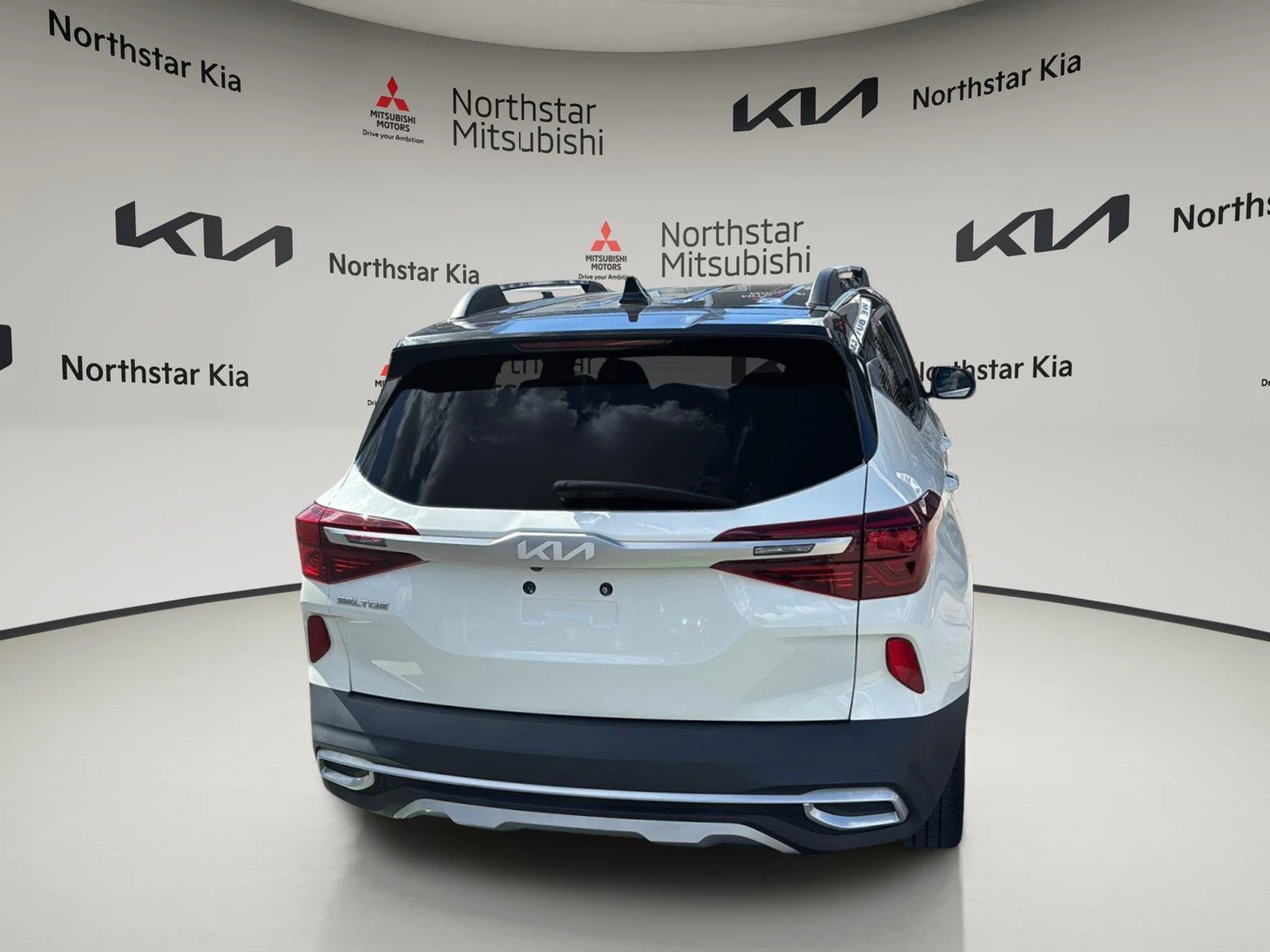 Used 2022 Clear White/Black Roof Kia Nightfall image 8