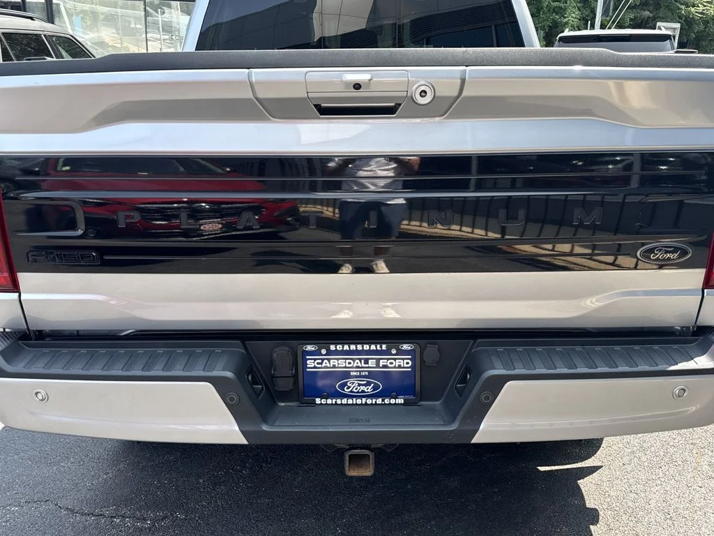 Used 2022 Silver Ford Platinum image 36