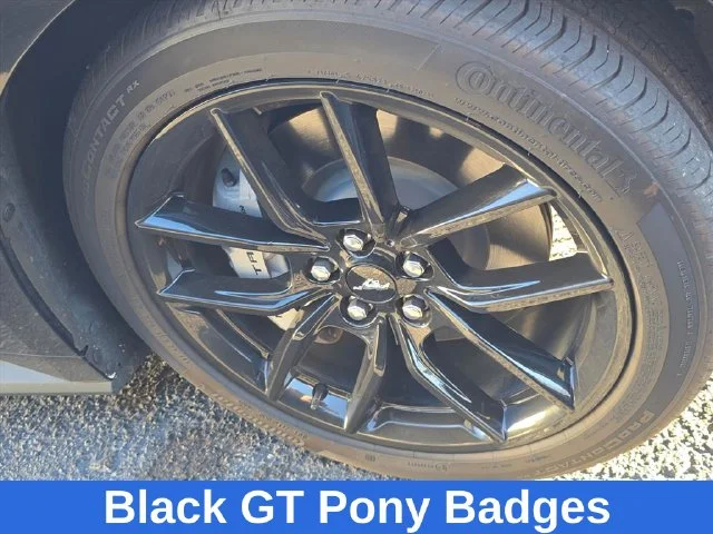 Used 2025 Black Ford GT Premium image 17