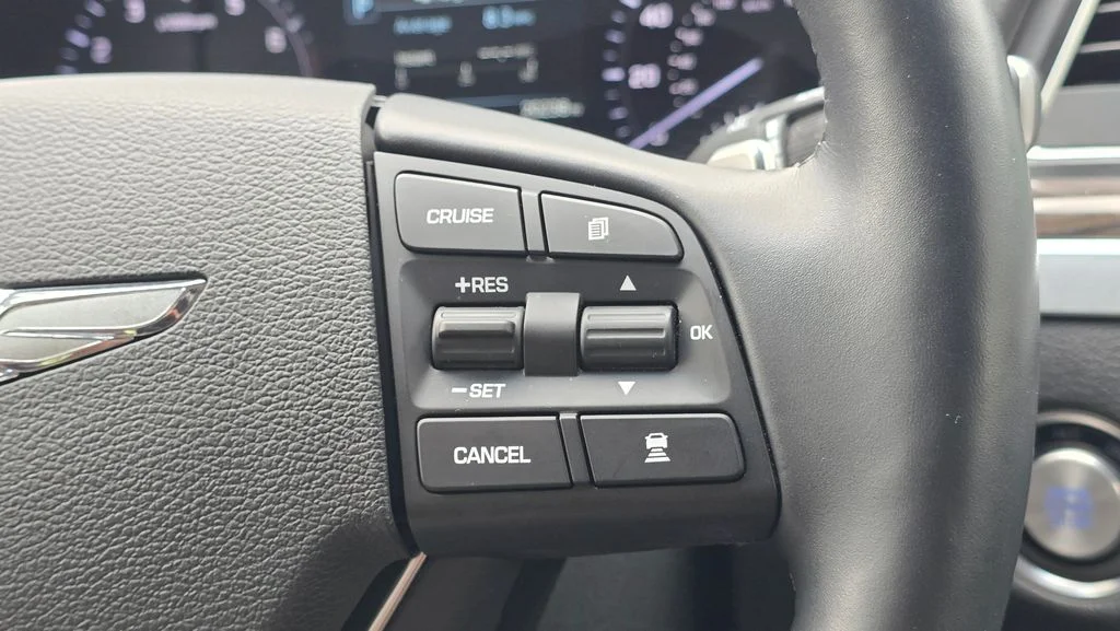 Used 2018 Gray Genesis 3.8 image 27