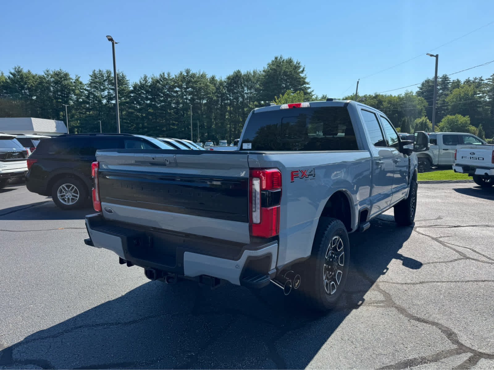 New 2026 Glacier Gray Metallic Tri-Coat Ford Platinum image 6