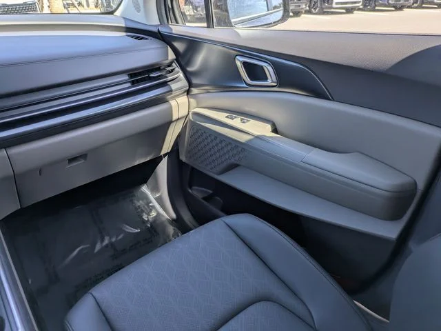 New 2026 Panthera Metal Kia LXS image 19