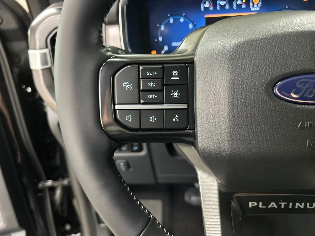 New 2026 Black Ford Platinum image 20