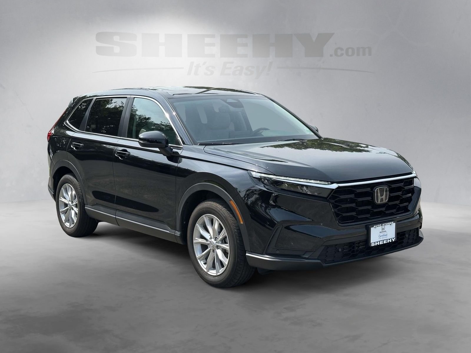 Used 2024  Honda EX-L image 2