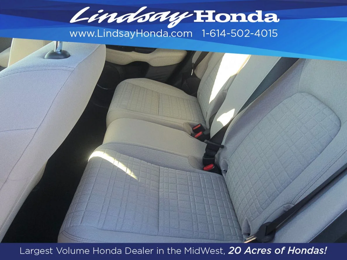 New 2027 Platinum White Pearl Honda LX image 3