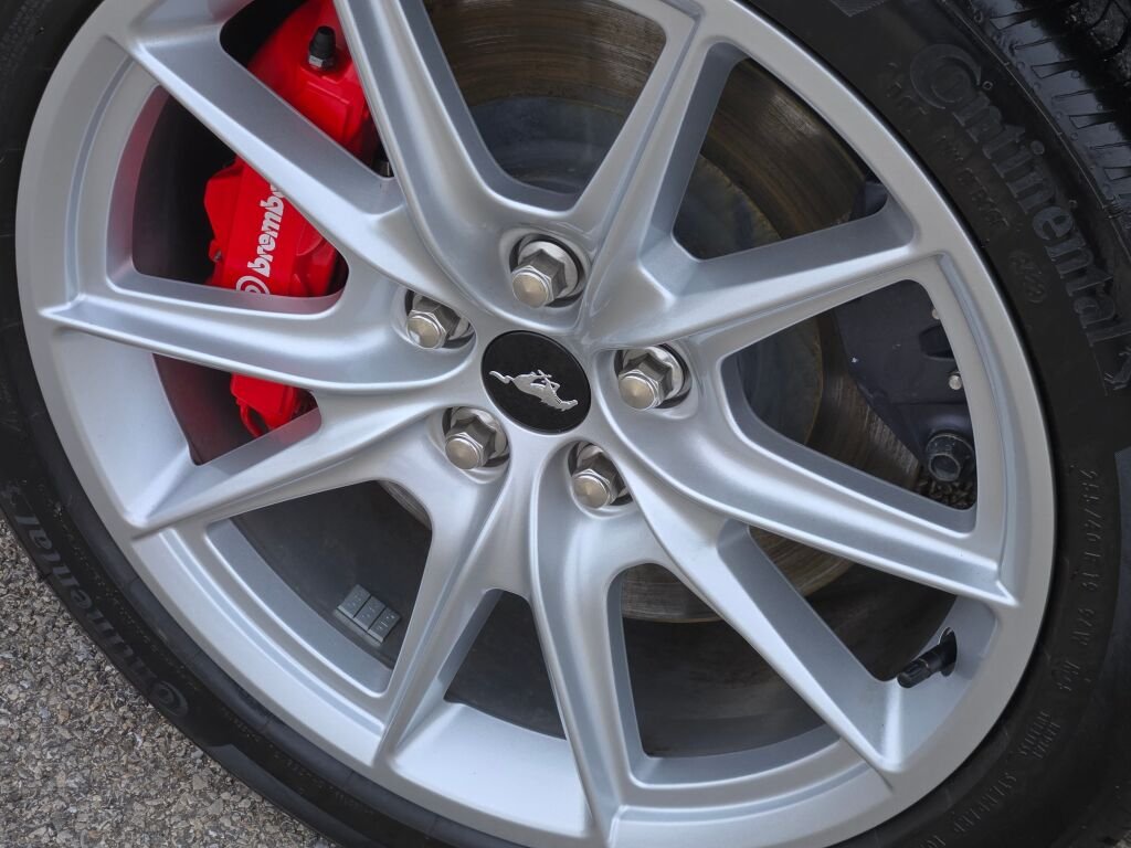 Used 2024 Black Ford GT Premium image 10
