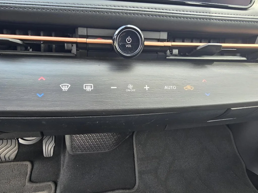 Used 2024 Northern Lights Metallic Nissan EVOLVE+ image 19