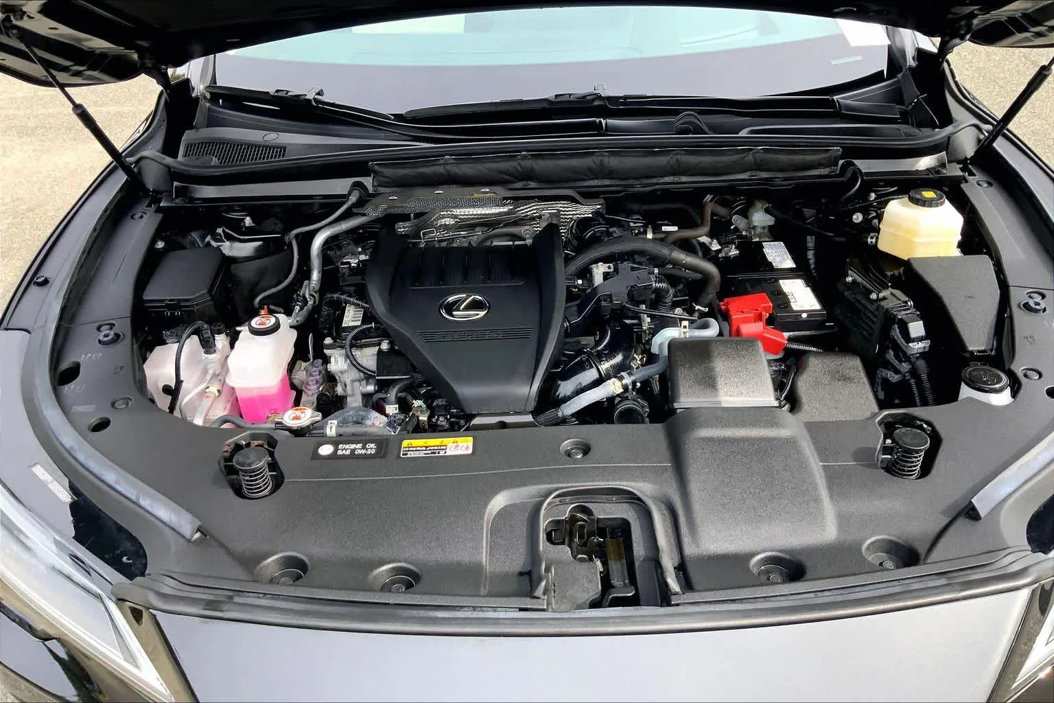 Certified Used 2024 CAVIAR Lexus Luxury image 32