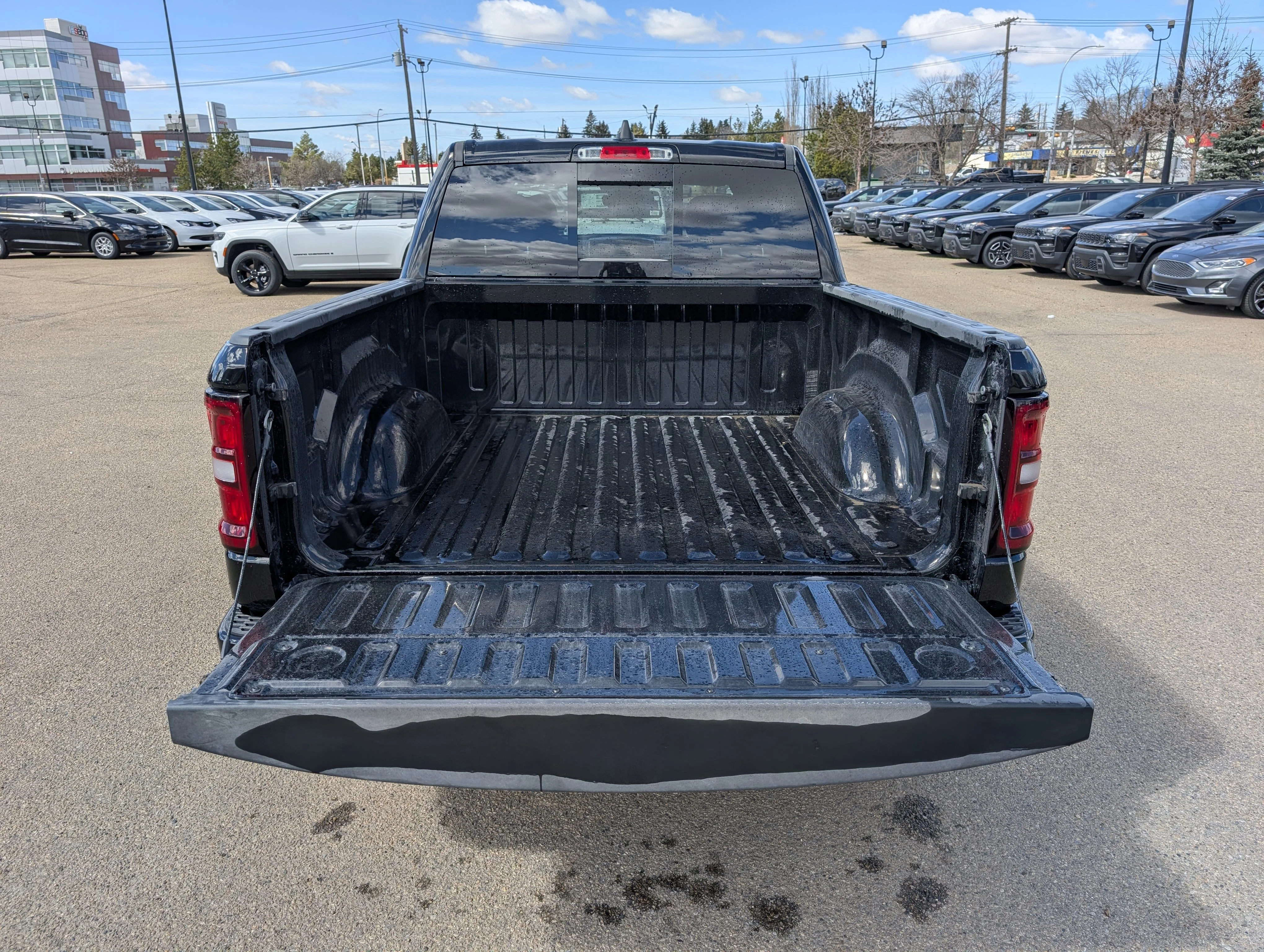 New 2026 Diamond Black Crystal Pearl Ram Express image 6