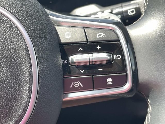 Used 2024 Black Kia X-Line SX Prestige image 22