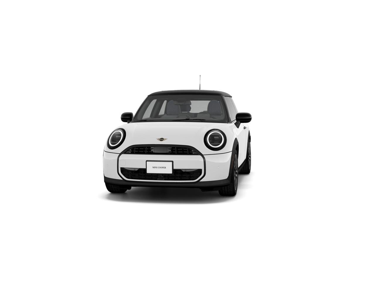 New 2026 Nanuq White Metallic MINI  image 3