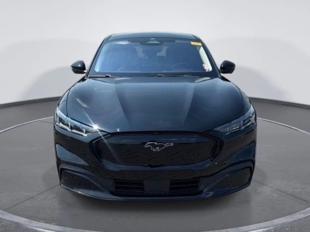Used 2024 Black Ford Premium image 2