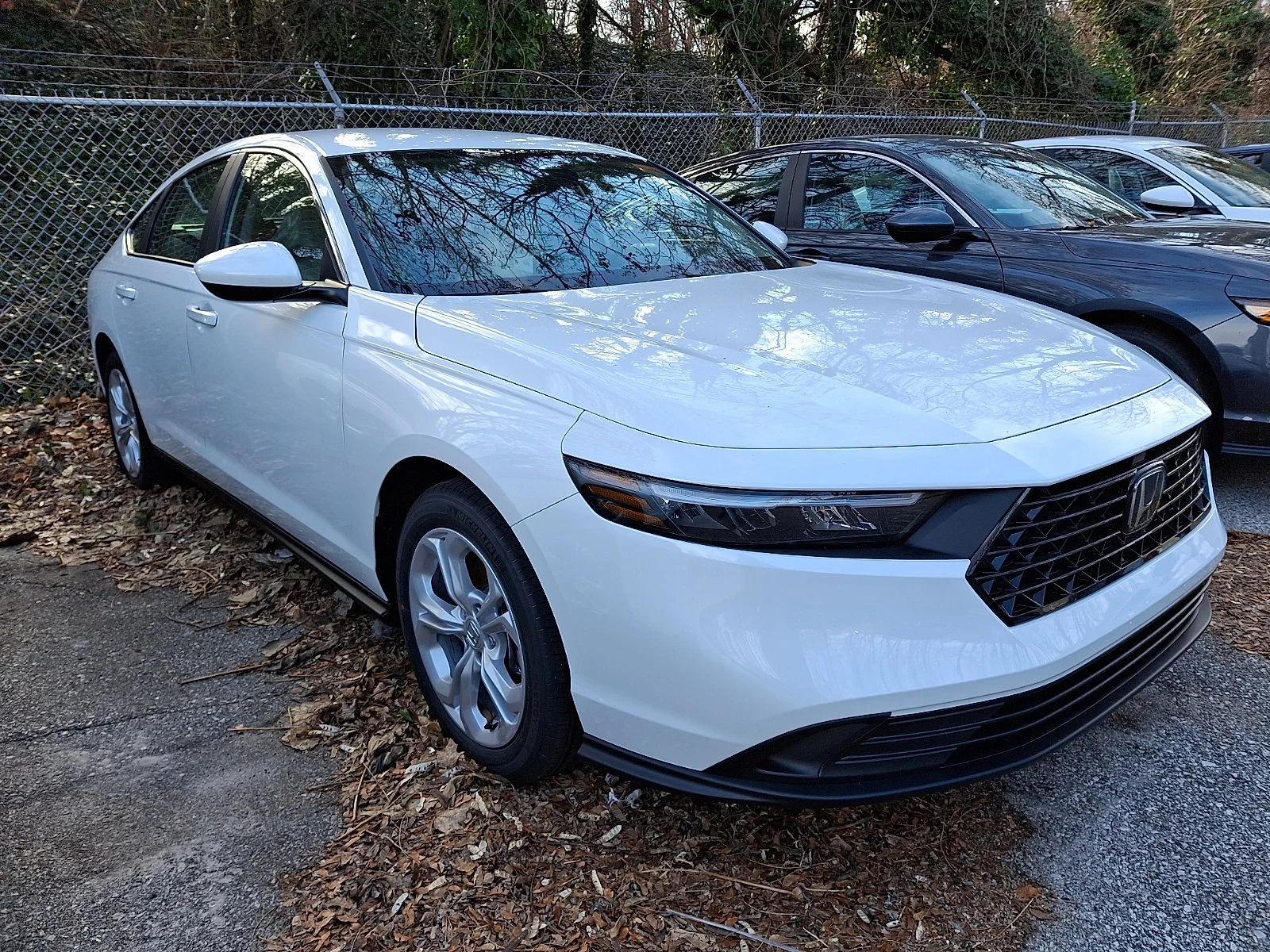New 2025 Platinum White Pearl Honda LX image 3