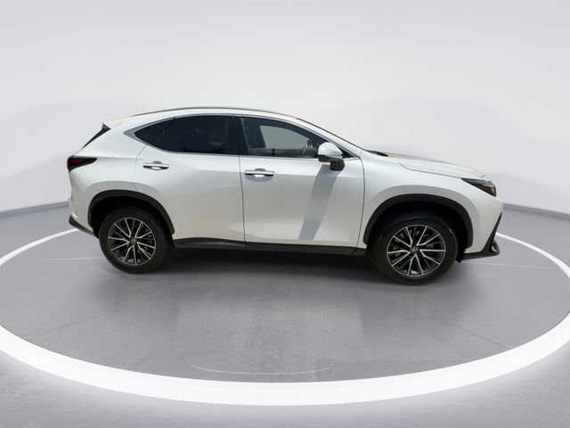 2025 Lexus NX Hybrid 350h - Photo 9