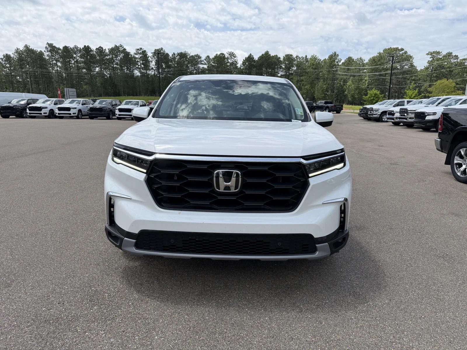 Used 2025 Platinum White Pearl Honda EX-L image 2
