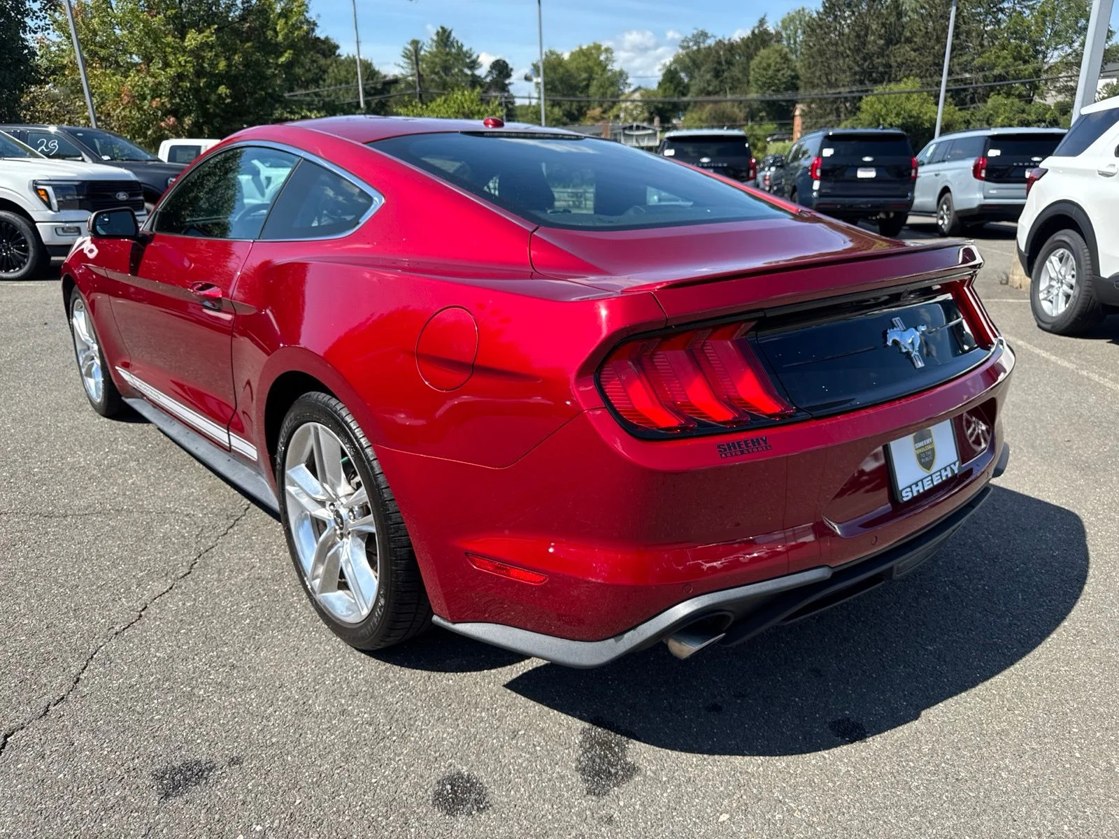 Used 2018 Red Ford EcoBoost Premium image 12