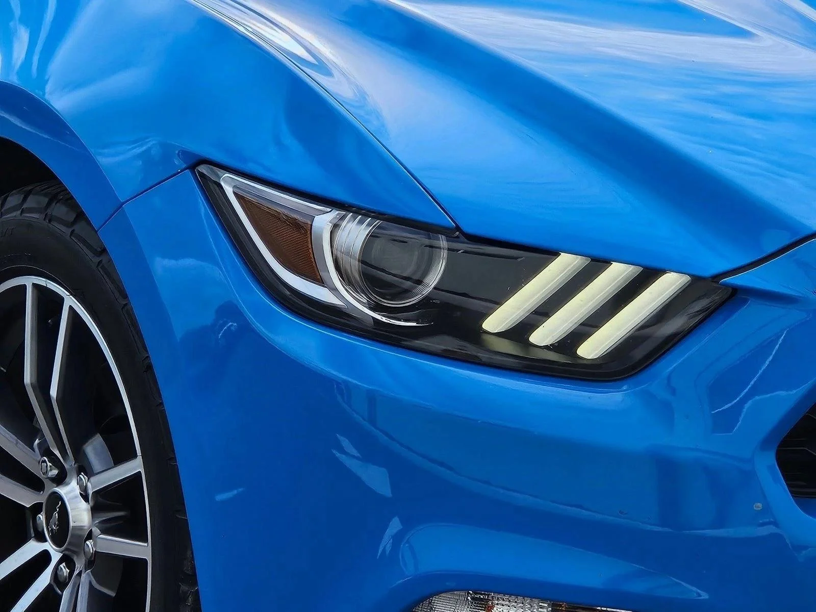 Used 2017 Grabber Blue Ford EcoBoost Premium image 5