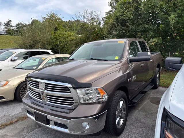 Used 2019 Brown Ram Lone Star image 4