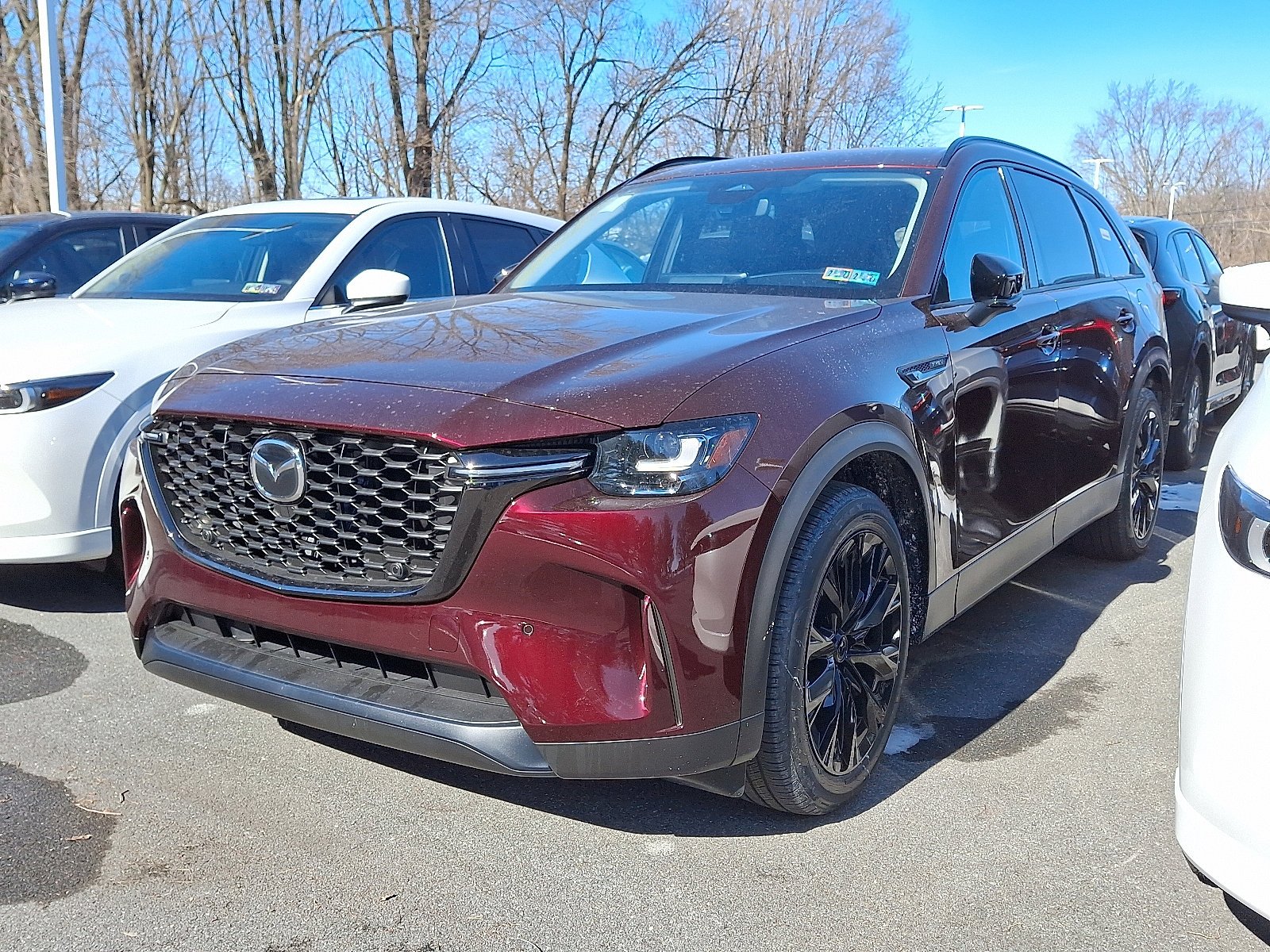 2026 Mazda CX-90 Premium Package - Photo 3