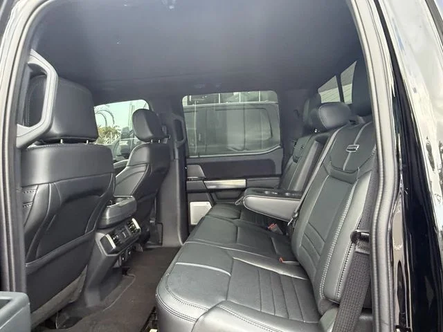 2025 Ford F-150 Platinum - Photo 10