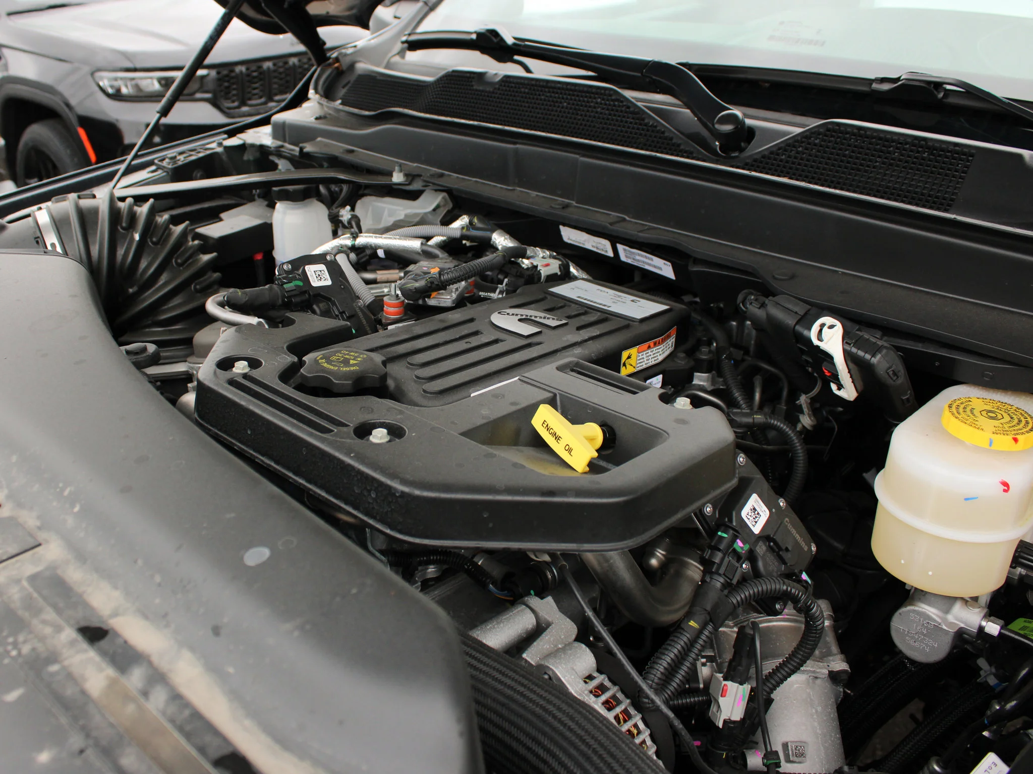 New 2026 Blue RAM Limited* image 8