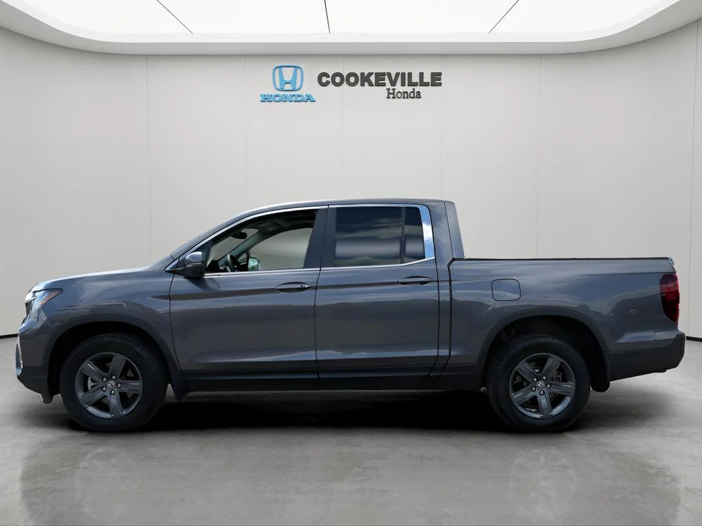 Used 2023 Modern Steel Honda RTL image 10