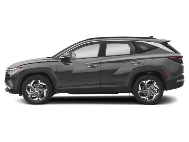 Used 2024 Amazon Gray Hyundai Limited image 3