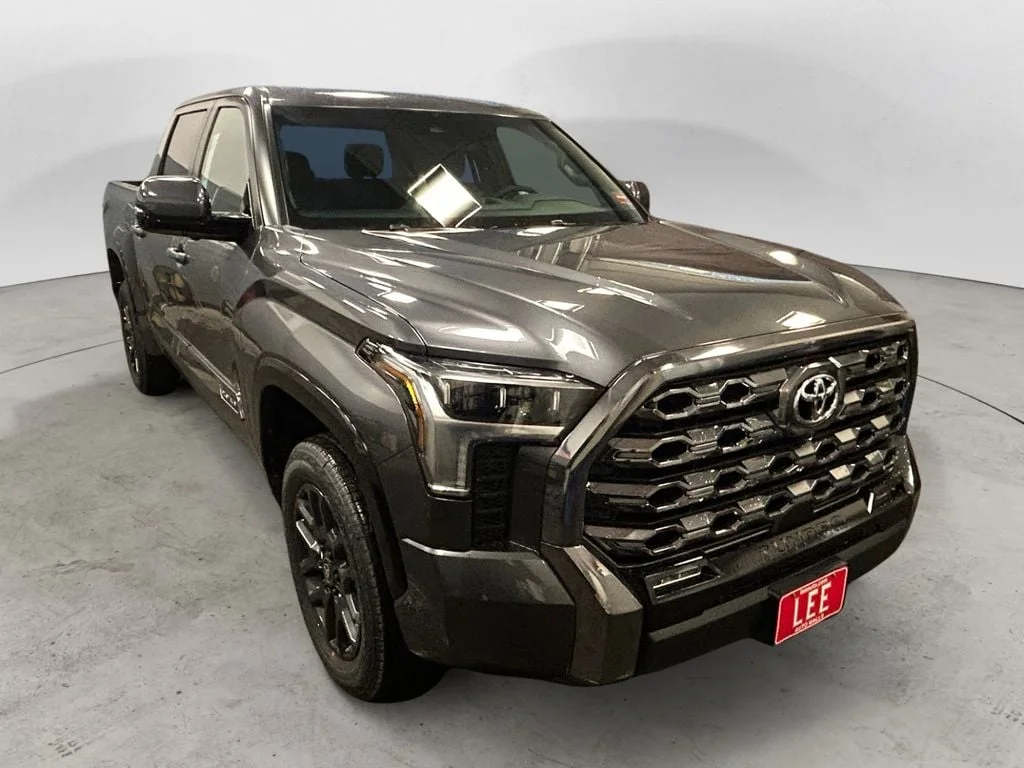 New 2026 Magnetic Gray Metallic Toyota Platinum image 7