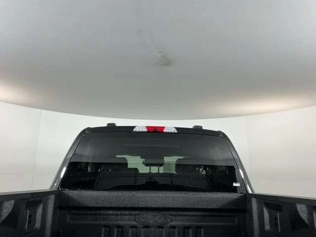 2025 Ford F-350 Super Duty Lariat - Photo 10