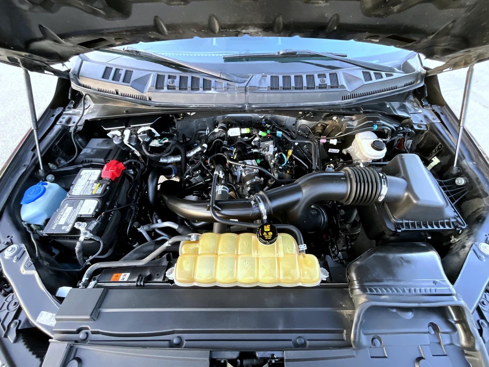 Used 2019 Red Ford XL image 26