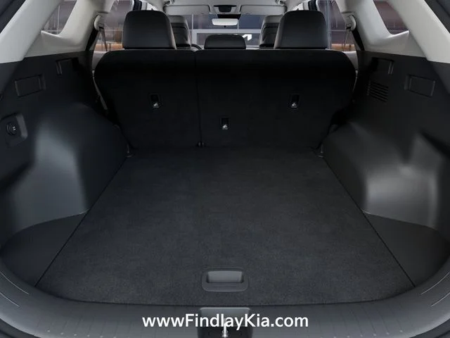New 2026 Blue Kia EX image 22