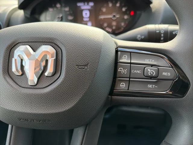New 2026 White Ram High Roof image 16