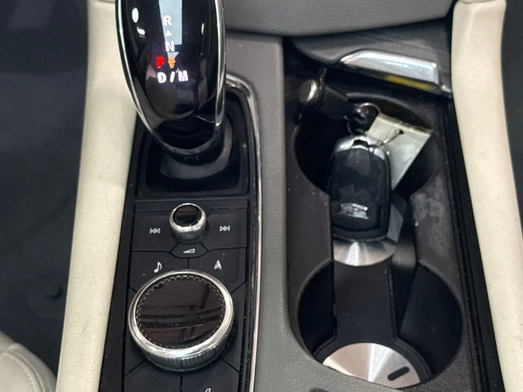Used 2020 Red Horizon Tintcoat Cadillac Premium Luxury image 18