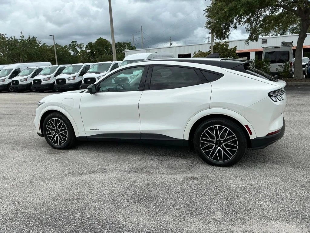 Used 2025 White Ford Premium image 7