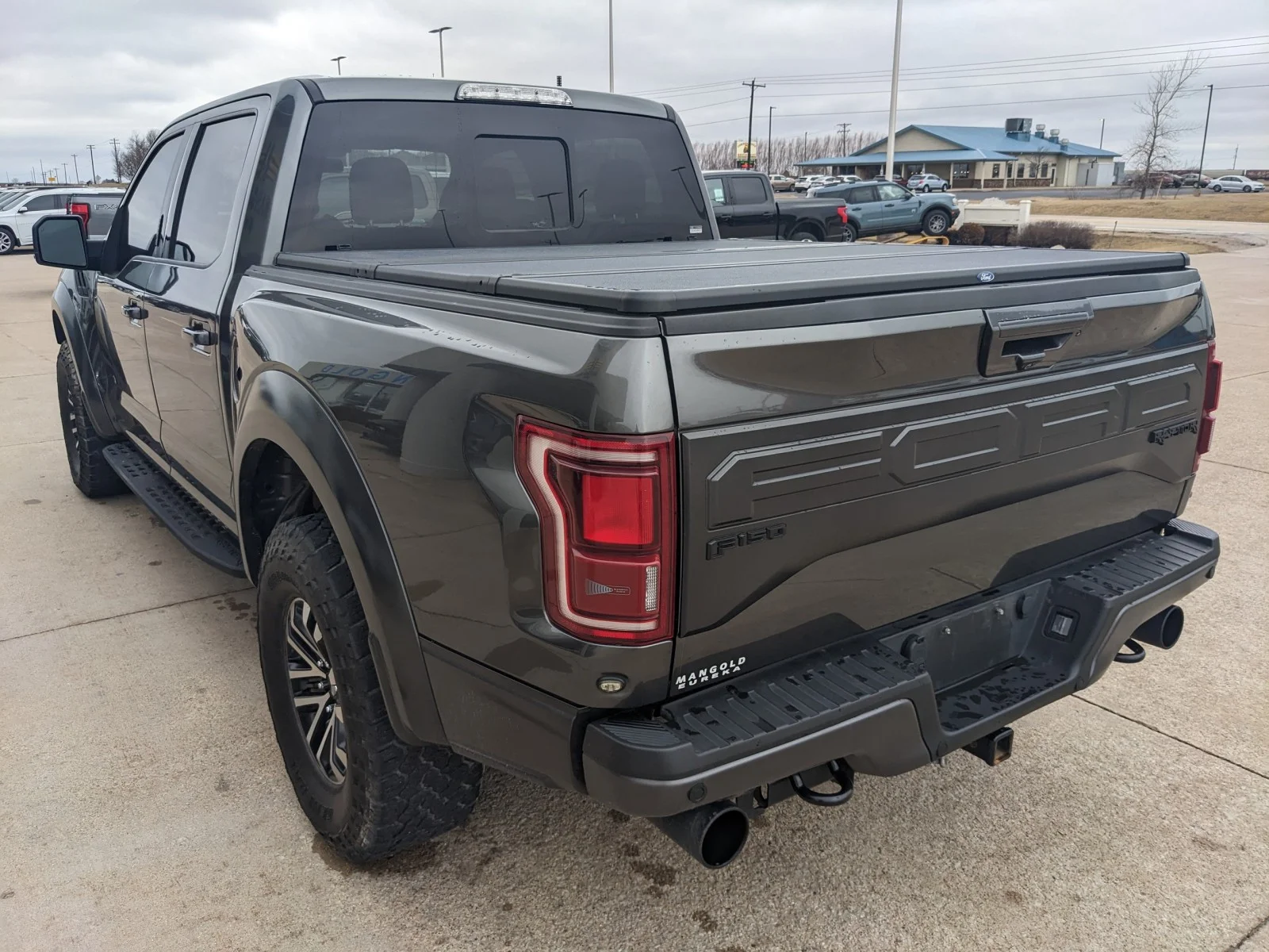 Used 2018 Magnetic Metallic Ford Raptor image 13
