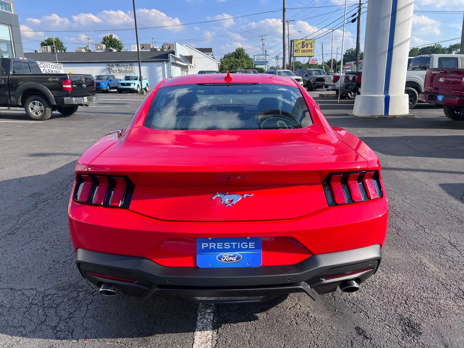 Used 2024 Red Ford EcoBoost image 11