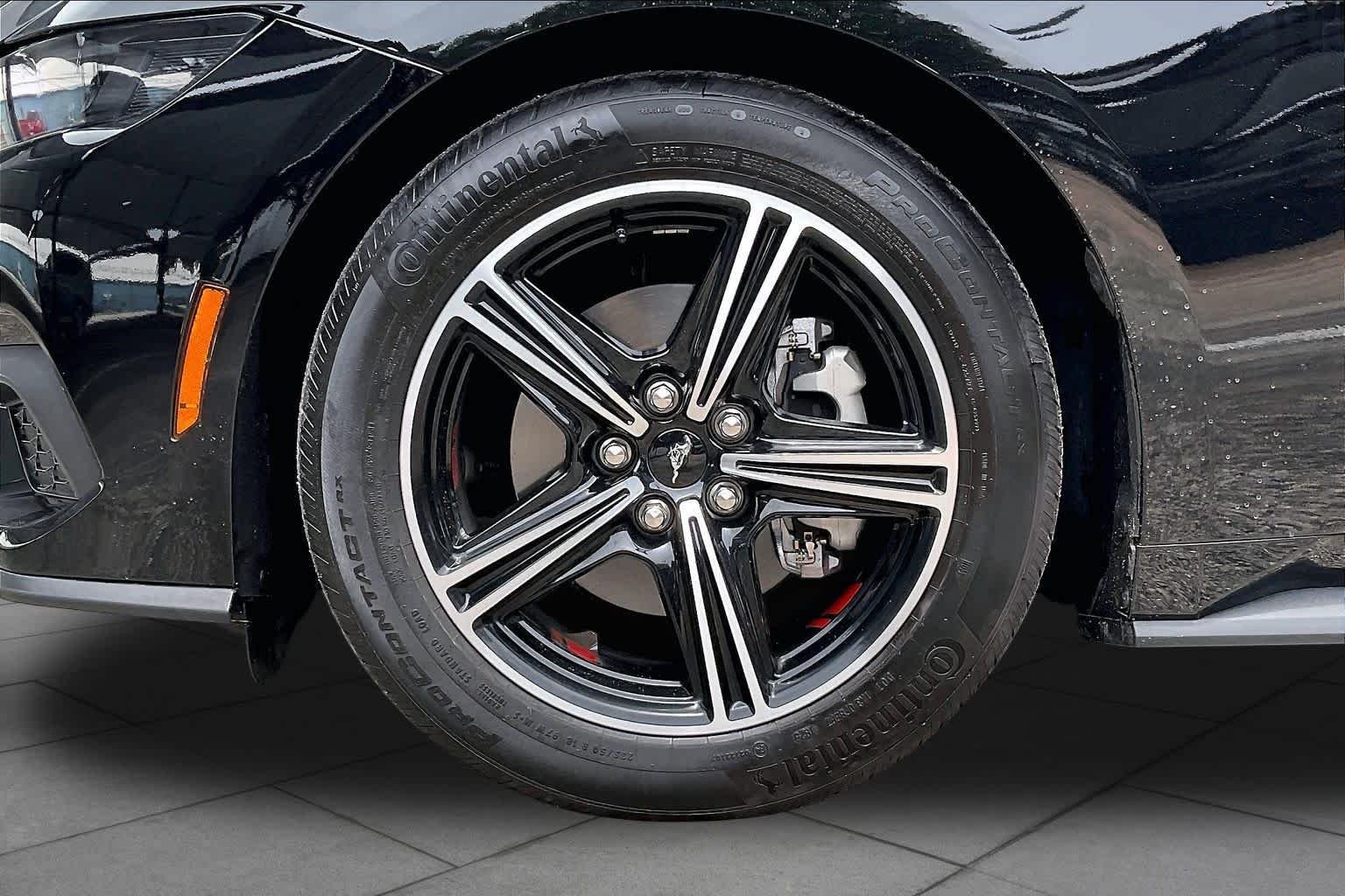 Used 2025 Shadow Black Ford EcoBoost image 11