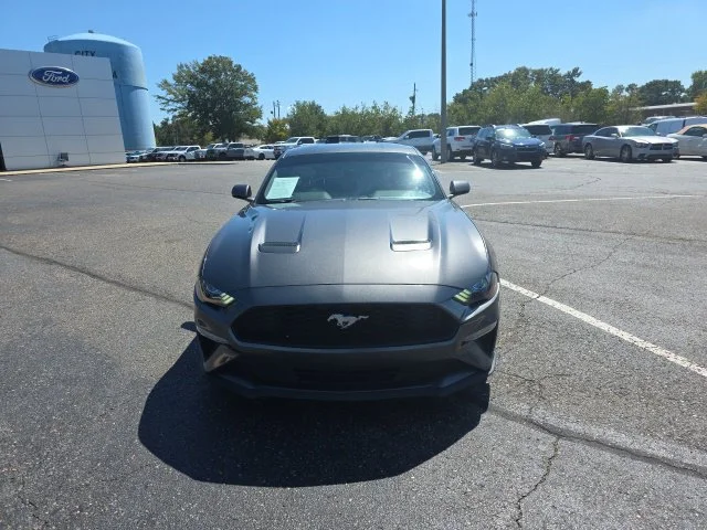 Used 2019 Gray Ford EcoBoost image 8