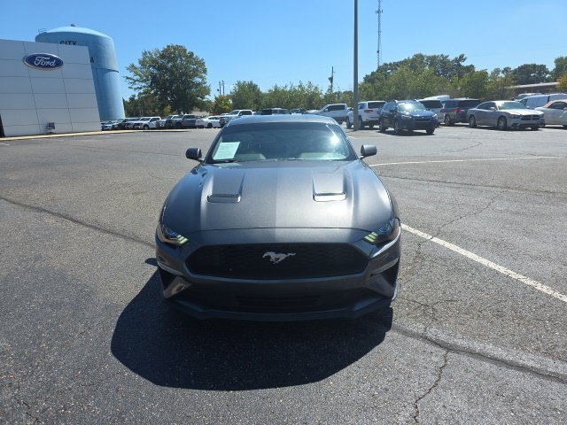 Used 2019 Gray Ford EcoBoost image 8