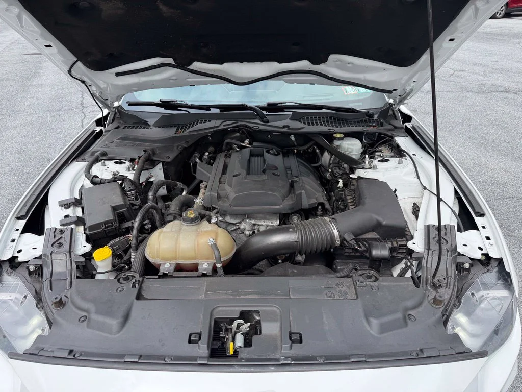 Used 2019 Oxford White Ford EcoBoost Premium image 21