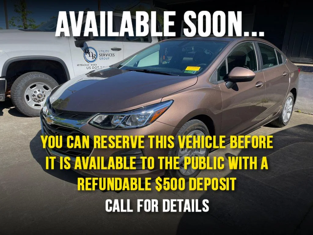 Used 2019 Oakwood Metallc Chevrolet LS image 1