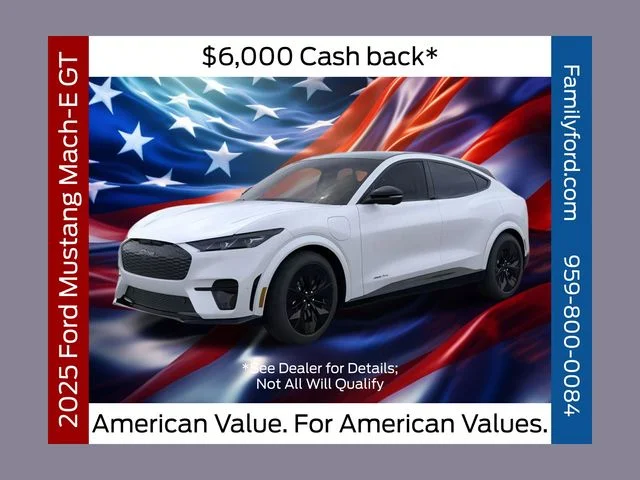 2025 Ford Mustang-Mach-e GT's photo