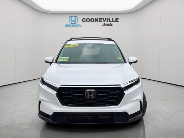 Used 2026 Platinum White Pearl Honda LX image 4