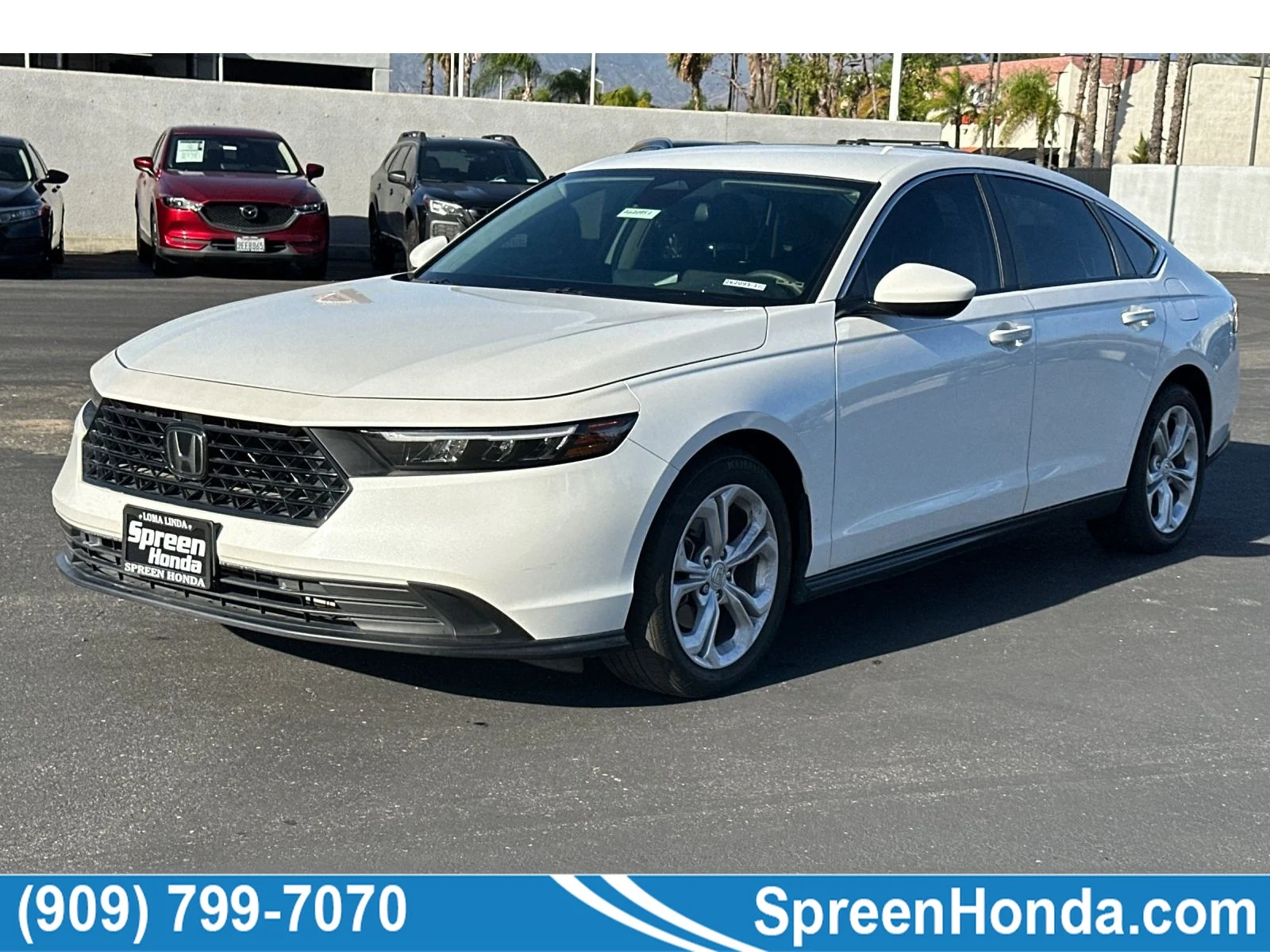 Used 2024 Platinum White Pearl Honda LX image 1