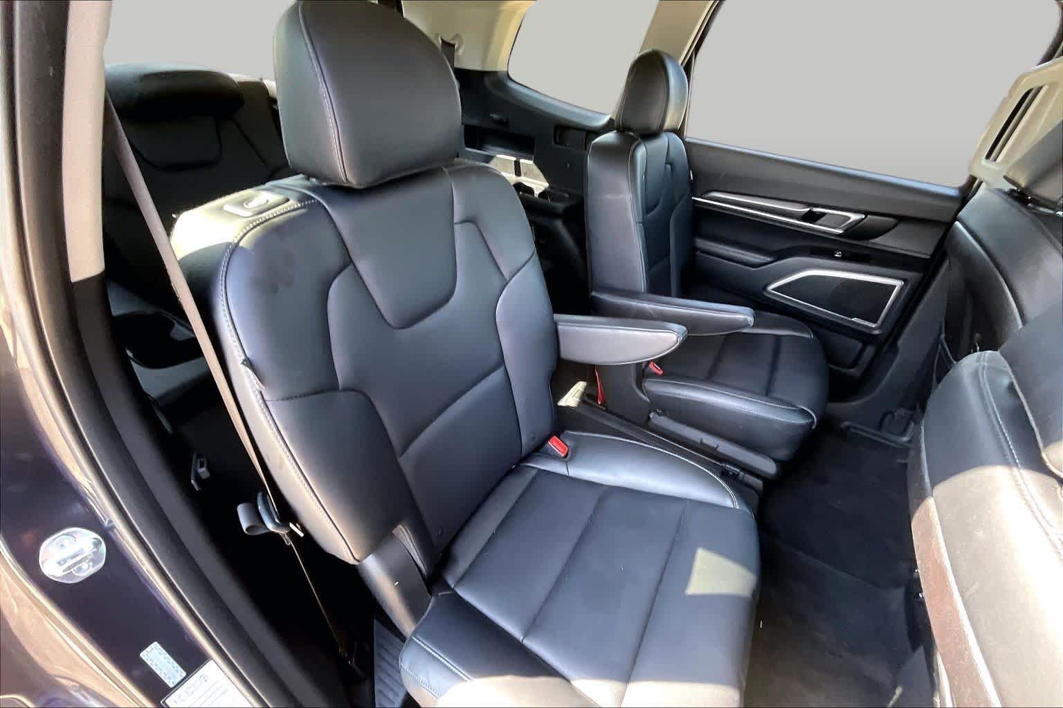 Used 2025 Panthera Metal Kia S image 19
